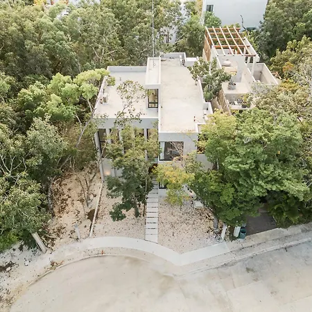 Leto * Tulum