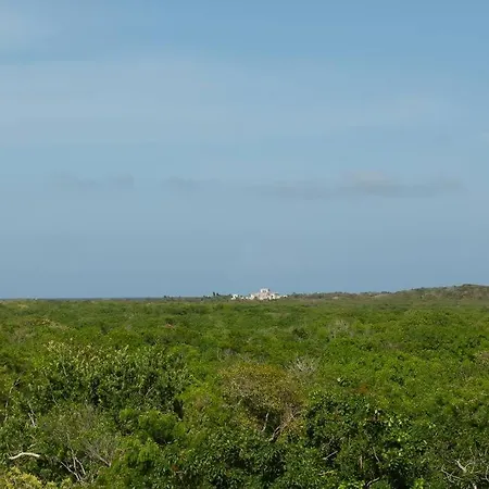 Сasa de vacaciones Chic Townhouse With Private Pool And Rooftop View Tulum