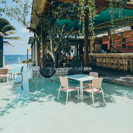 Hotel Mi By La Zebra, An Slh (adults Only)