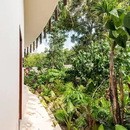 Apartment Lujoso Estudio Con Terraza Vista Alberca