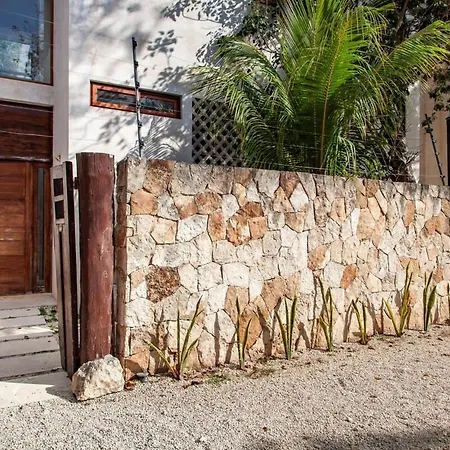 The Mayan World House Of La Veleta