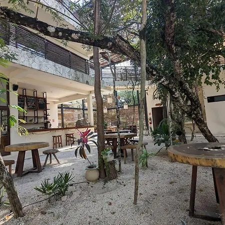 Entre Cenotes Y Selva Apartment *