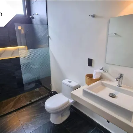 Vicenta Ii Tulum
