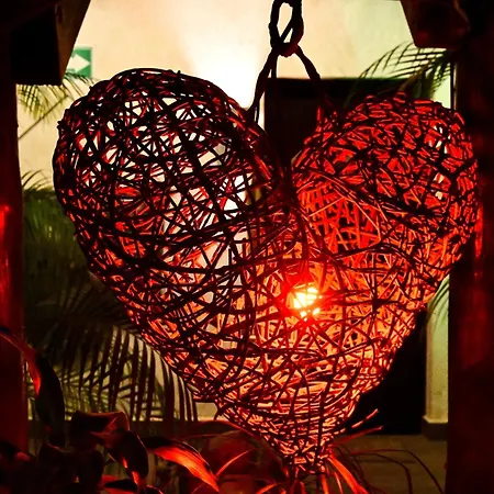 Pacha Boutique 4*