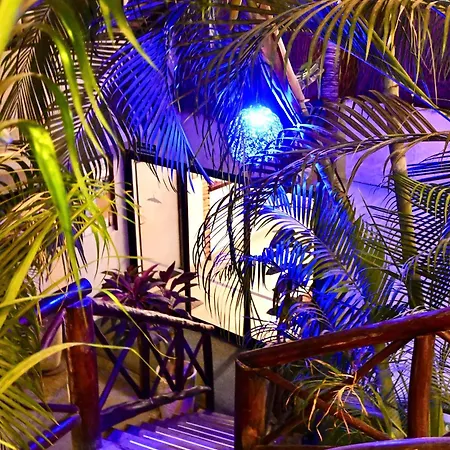 Pacha Boutique Tulum