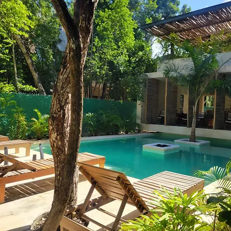Apartamento Jungle Treehouse *