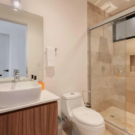Penthouse With Private Plunge Pool Apartment *