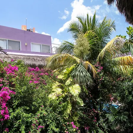 Geminis Boutique Condohotel 4* Tulum
