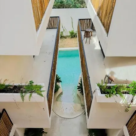 Apartment Increible Y Acogedor Estudio-agata 4 By Sandy Powerful Tulum