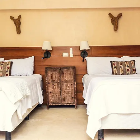 Villa Design Minutes Form The Tulum