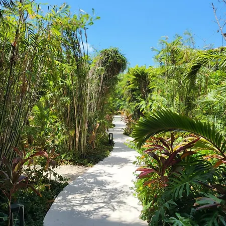 Lujoso Estudio Con Terraza Vista Alberca Apartment Tulum