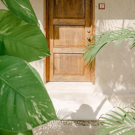 Private For Groups Bbq, Pool & Wifi Tulum