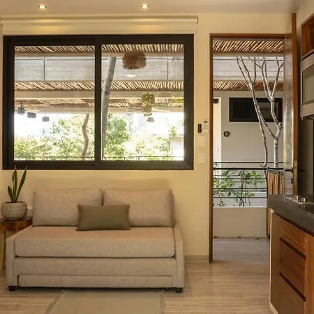 New 1 Bed - - Private Terrace Apartment Tulum