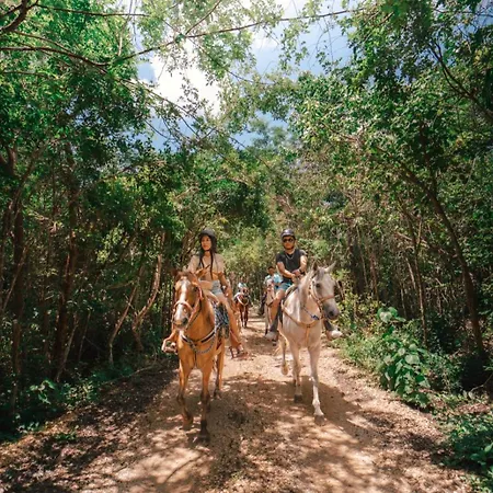 Energy Holistic Ranch Hotel *