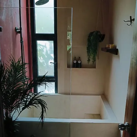 Agua & Selva Luxury Jungle Loft Apartamento *