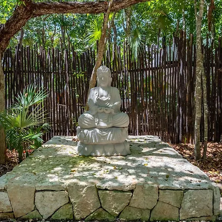 Casa & Chiit - 2 Homes With Different Shared Amenities * Tulum