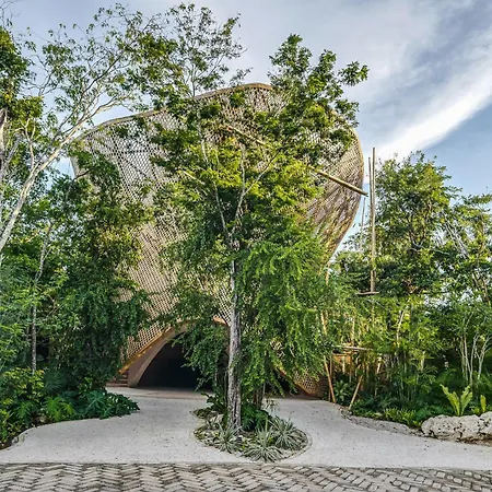 Stunning 1br In Jungle With Pool, Restaurant And Gym Apartment