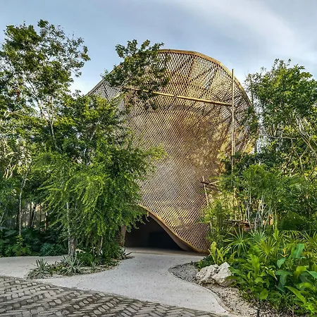 Apartment Stunning 1br In Jungle With Pool, Restaurant And Gym Tulum