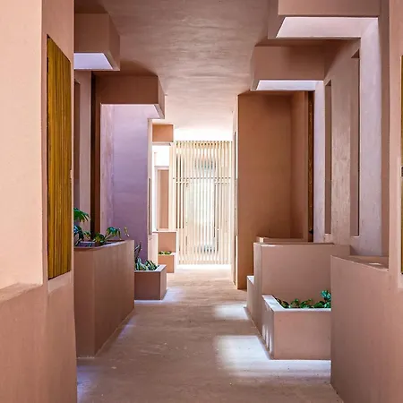 Apartment Stunning 1br In Jungle With Pool, Restaurant And Gym