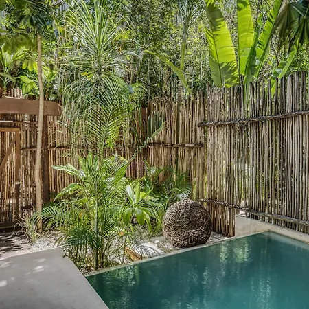 Apartamento Exclusive 1br In Jungle Private Pool
