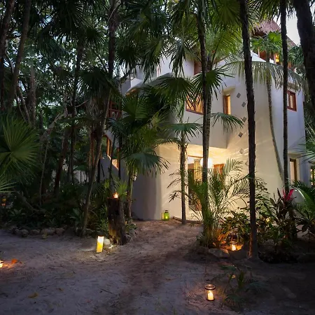Mandala With 3 Bedrooms In Mexico Villa