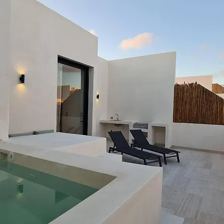 Lujoso Penthouse 2 En Tulum