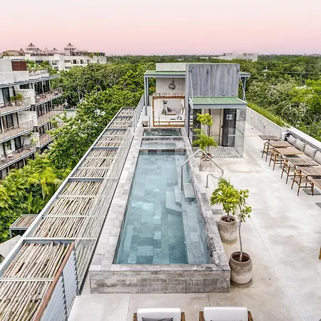 Divine 1br Swim Up With Cenote And Gym Tulum