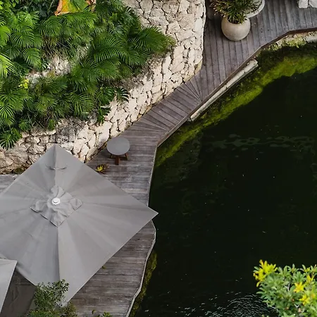 Amazing 1br Swim Up Cenote Gym * Tulum
