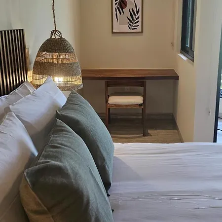 Botanic Departamento Doble En Con Alberca, Ac, Amenidades, Cerca De La Playa Apartment Tulum
