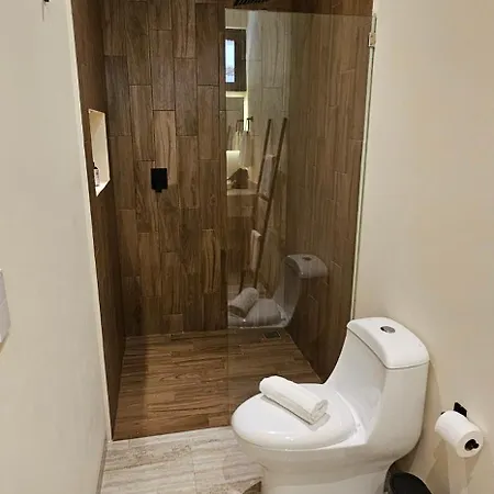 Botanic Departamento Doble En Con Alberca, Ac, Amenidades, Cerca De La Playa Apartment