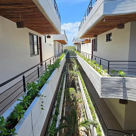 Botanic Departamento Doble En Con Alberca, Ac, Amenidades, Cerca De La Playa Apartment *