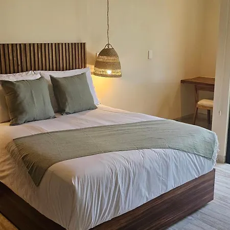 Botanic Departamento Doble En Con Alberca, Ac, Amenidades, Cerca De La Playa * Tulum