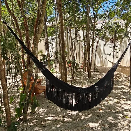Apartment Botanic Departamento Doble En Con Alberca, Ac, Amenidades, Cerca De La Playa Tulum