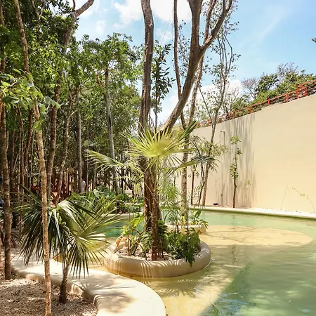 Botanic Departamento Doble En Con Alberca, Ac, Amenidades, Cerca De La Playa
