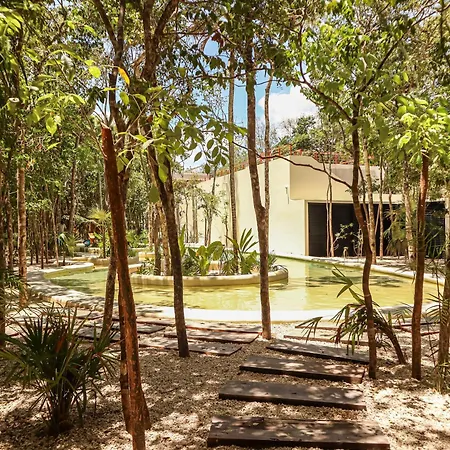 Botanic Departamento Doble En Con Alberca, Ac, Amenidades, Cerca De La Playa