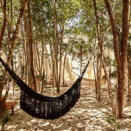 Botanic Departamento Doble En Con Alberca, Ac, Amenidades, Cerca De La Playa *
