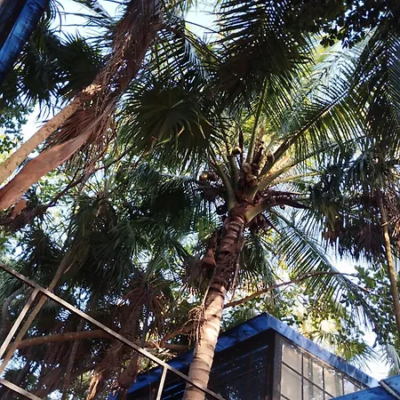 Xxxxxxx Guest house