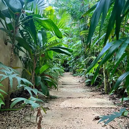 Jungle Oasis - With Private Pool