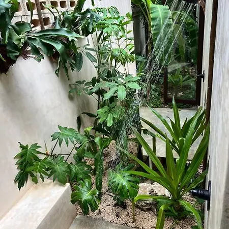 Villa Jungle Oasis - With Private Pool