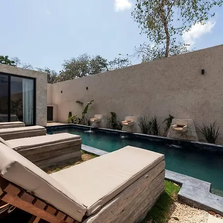 Casa Aguacate