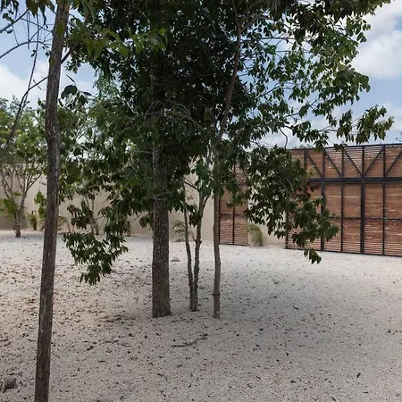 Casa Aguacate Tulum