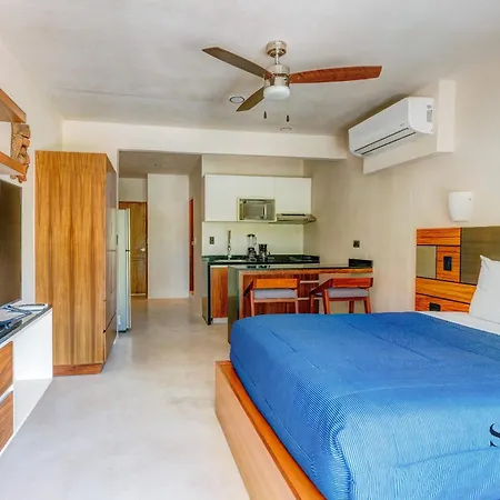 Equipped Studio Communal Pool And Lounge Fun Gym Tulum