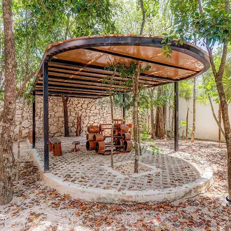 Equipped Studio Communal Pool And Lounge Fun Gym Tulum