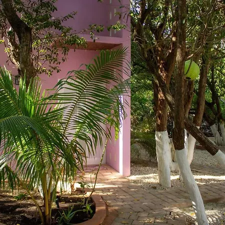 Casa Rosse *