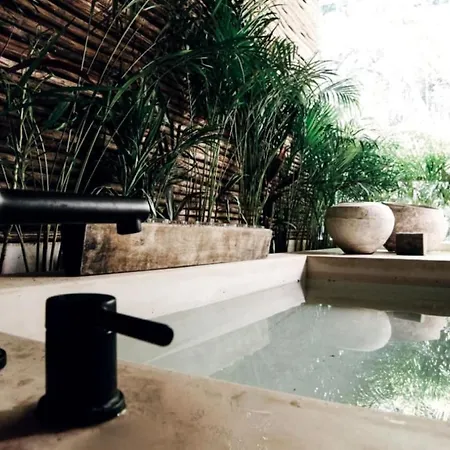 Jungle Spa Retreat - Luum Zama Tulum