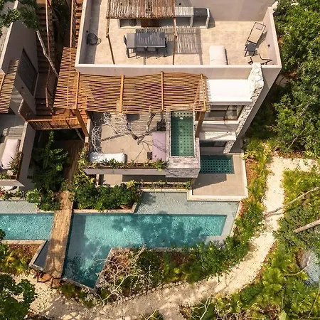 Jungle Dream Paradise