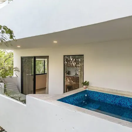 Jungle Star Luxe Apt *