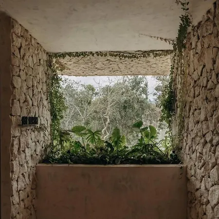 Casa Zebrina Designer *