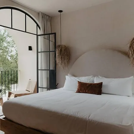 Casa Zebrina Designer