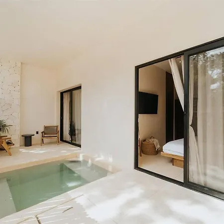 Apartment Designer Casa Coba Plunge Pool